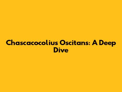 Chascacocolius Oscitans: A Deep Dive