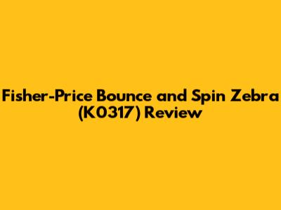 Fisher-Price Bounce and Spin Zebra (K0317) Review