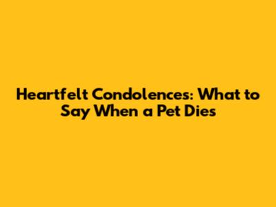 Heartfelt Condolences: What to Say When a Pet Dies