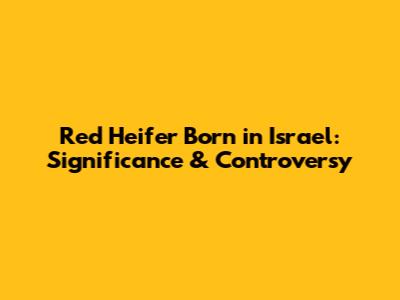 Red Heifer Born in Israel: Significance & Controversy