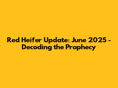 Red Heifer Update: June 2025 - Decoding the Prophecy