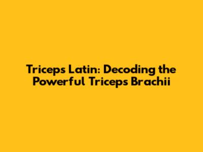 Triceps Latin: Decoding the Powerful Triceps Brachii