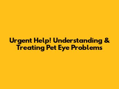 Urgent Help! Understanding & Treating Pet Eye Problems